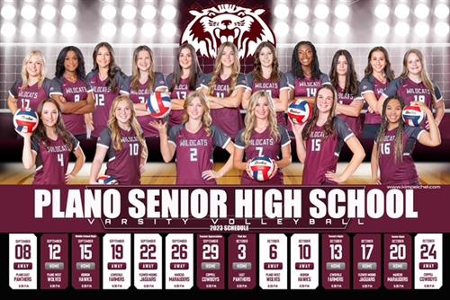 Plano Senior Vollyball Picture